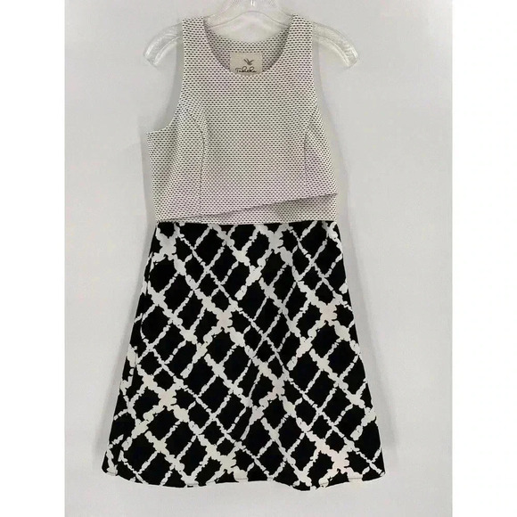 Anthropologie Aleida Sleeveless Dress by Tabitha Size 6 - Picture 1 of 7